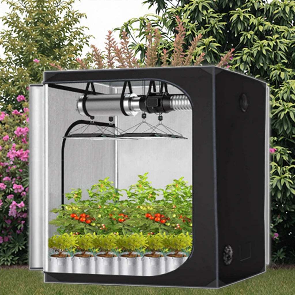 Hot Selling 600D Oxford Fabric Hydroponics for Grow Tent 80*45*80 Black Indoor Greenhouse Iron Mylar for Mushroom