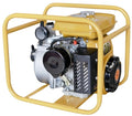 2021 Original Robin Water Pump Heater Booster Pump 2 Inch 3 Inch Water Pump