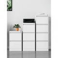 Luoyang Manufacturer 2 Drawers Cabinet Staff A4 Office Filing Cabinet Iron Storage Locker FC Hanging File Cabinet