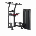 Pull up Station Assist Muscle Training Weight Assisted Dip and Chin up Gym Fitness Equipment Assisted Chin Dip Machine