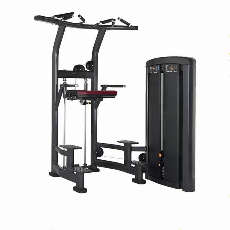 Pull up Station Assist Muscle Training Weight Assisted Dip and Chin up Gym Fitness Equipment Assisted Chin Dip Machine