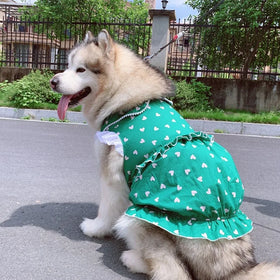 S~6XL Wholesale Small Medium Large Breed Luxury Dog Clothes