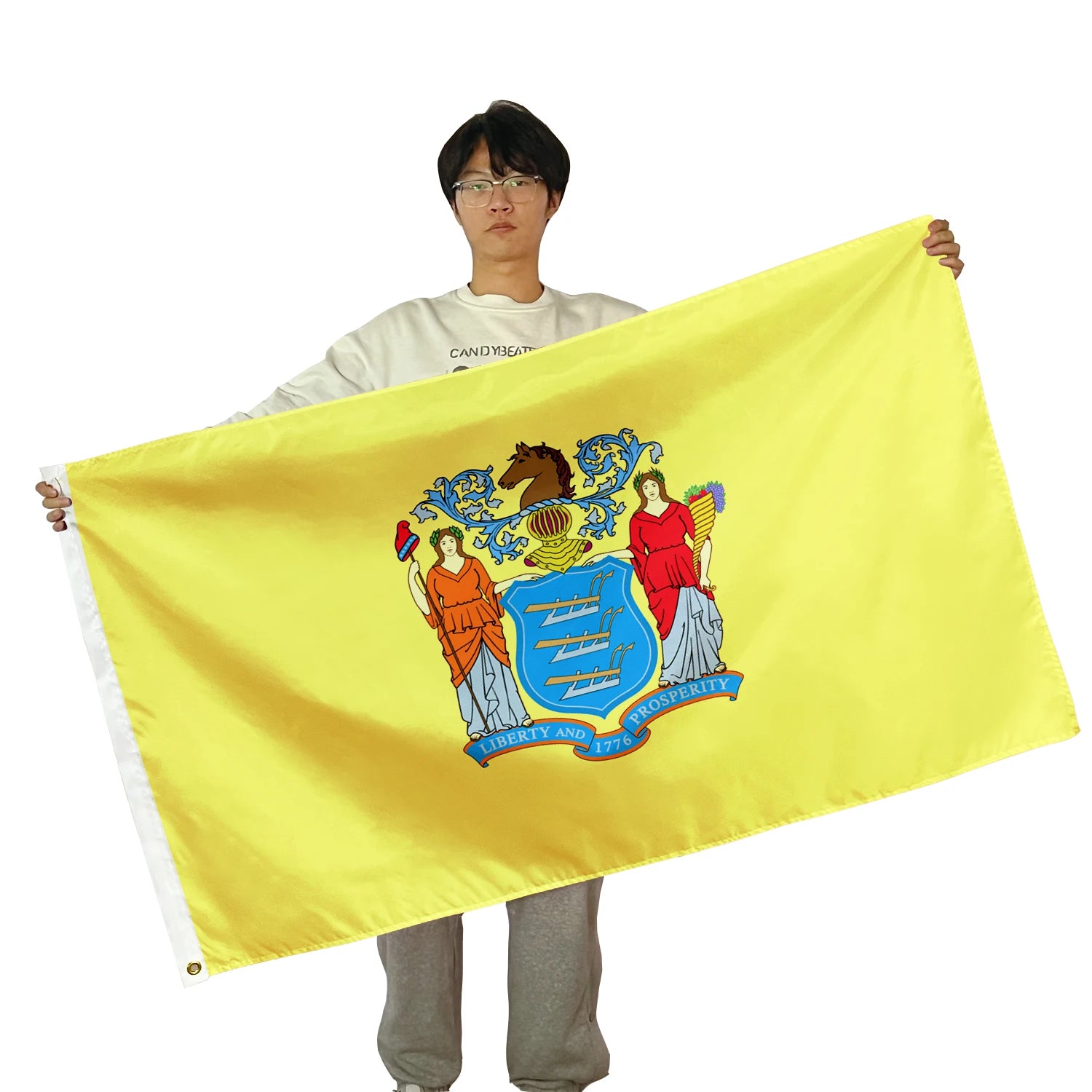 Promotional Product Customized Election Flag 3X5 Feet 100% Polyester Knitted Flying Handheld New Jersey Flag