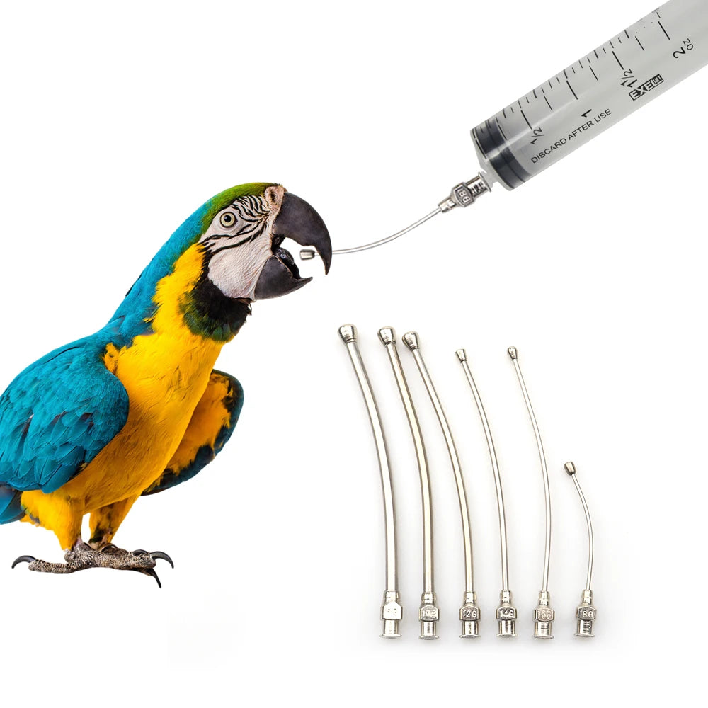 8G 10G 12G 14G 16G 18G Multi Size Animal Feeding Needle for Bird Parrot