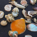 2025 Summer Ocean Beach Style Natural Shell Conch Pendant for DIY Necklace Bracelet Making