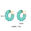 Summer Jewelry Colorful Earrings Twisted Acrylic Hoop Earring for Women Stainless Steel Gold Plated Jewelry