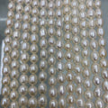 Wholesale 7-8mm Natural White Freshwater Rice Shaped Pearls SIze  Loose Strands for Jewelry