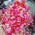 1KG DIY Craft Slime Supplies Valentine Polymer Sprinkles Slices Lips Mixture Polymer Clay Sprinkles