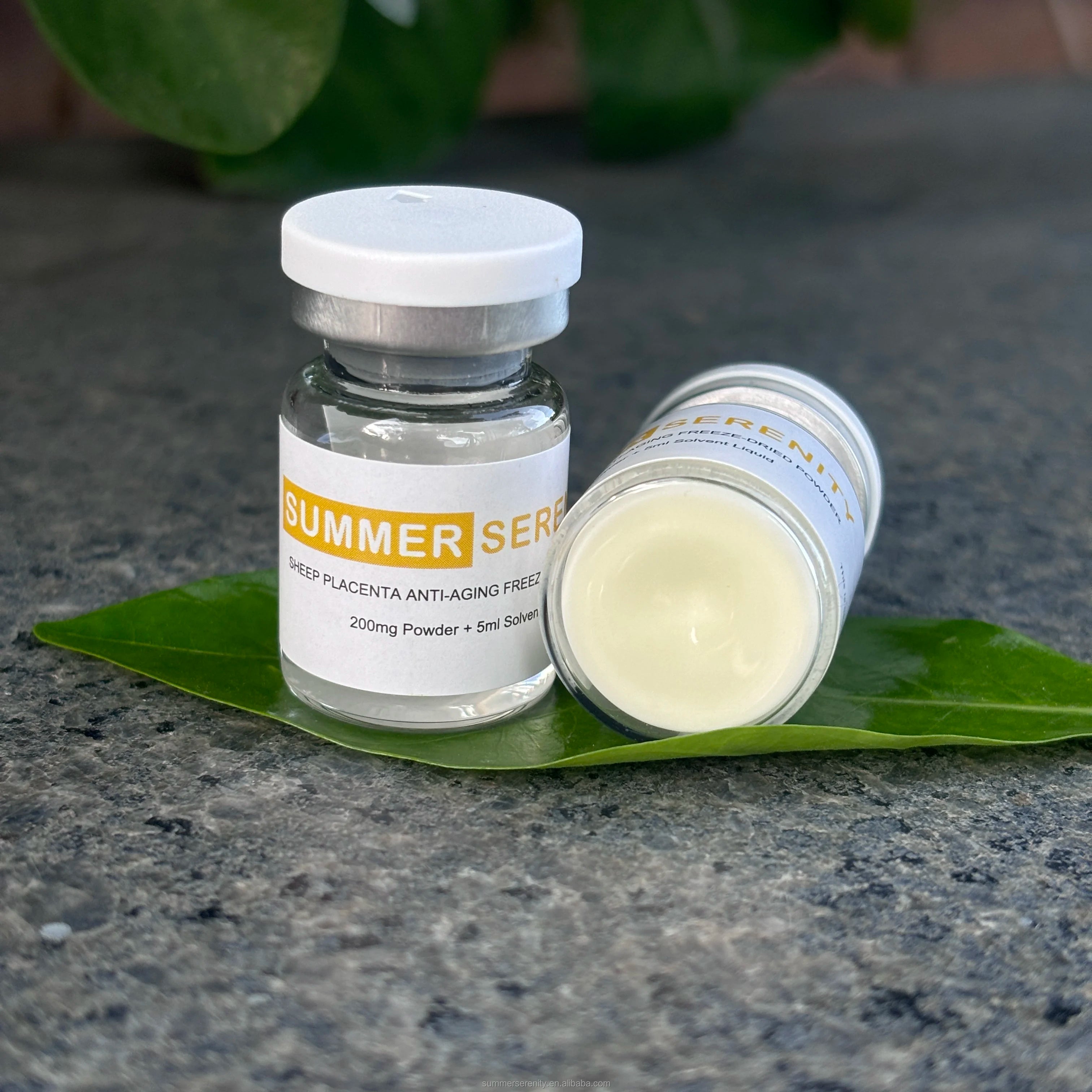 Face Lift Firm Skin Rejuvenation Essence Sheep Placenta Freeze Dried Powder Anti Wrinkles Facial Serum Lyophilized Powder 5ml