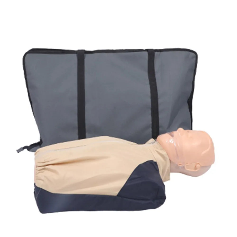Medical Science Teaching Half Body Manikin with LED Light