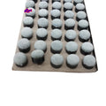 Xmlivet High Quality 11mm Pool Snooker Screw-on Tips Wholesales China 100pcs/box Billiard Acceoosires