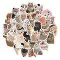 E-50pcsThe Series Cartoon Cats Stickers Packs for Motorcycle Suitcase Guitar Notebook Wholesale Pvc