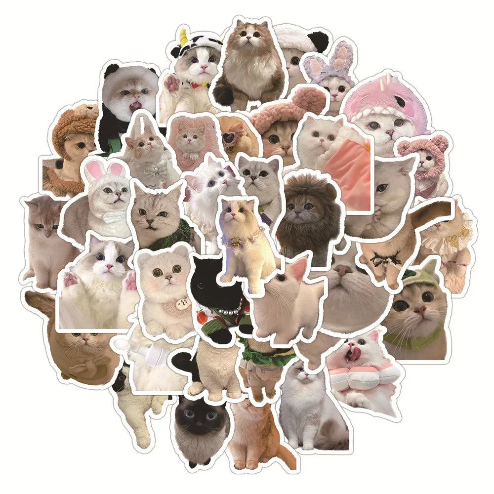E-50pcsThe Series Cartoon Cats Stickers Packs for Motorcycle Suitcase Guitar Notebook Wholesale Pvc