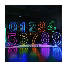 Drop Shipping Party 2ft 3ft 4ft 5ft 100CM Led Neon Light Small Numbers Letters Free Standing Giant Acrylic Neon Sign Custom