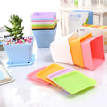 P113 Seed Starting Pots Mini Plastic Planters 10cm Flower Seedling Nursery Pots With Pallet Colorful Square Flower Plant Pots