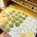Tunnel Commercial Non-Stick Fruit Dehydrator/Mesh Belt Dryer Drying Dehydrator Mats