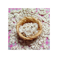 500g Mushroom Polymer Clay Sprinkle for Kids Diy Soft Clay for Craft Clay Nail Art Scrapbook Decoration DIY Slime Filler