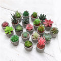 Variety Assorted Rustic Pulp Potted Plastic Flowers Indoor Outdoor Home Decor