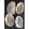 Wholesale Price 15 cm Big Shell with Pearl Bone & Coral Beads