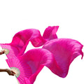 Professional Unisex Oriental Belly Dance Performance Hand Fans with Long Veil for Costume Wear