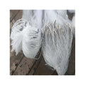 Fishing Gill Nets Red De Pesca