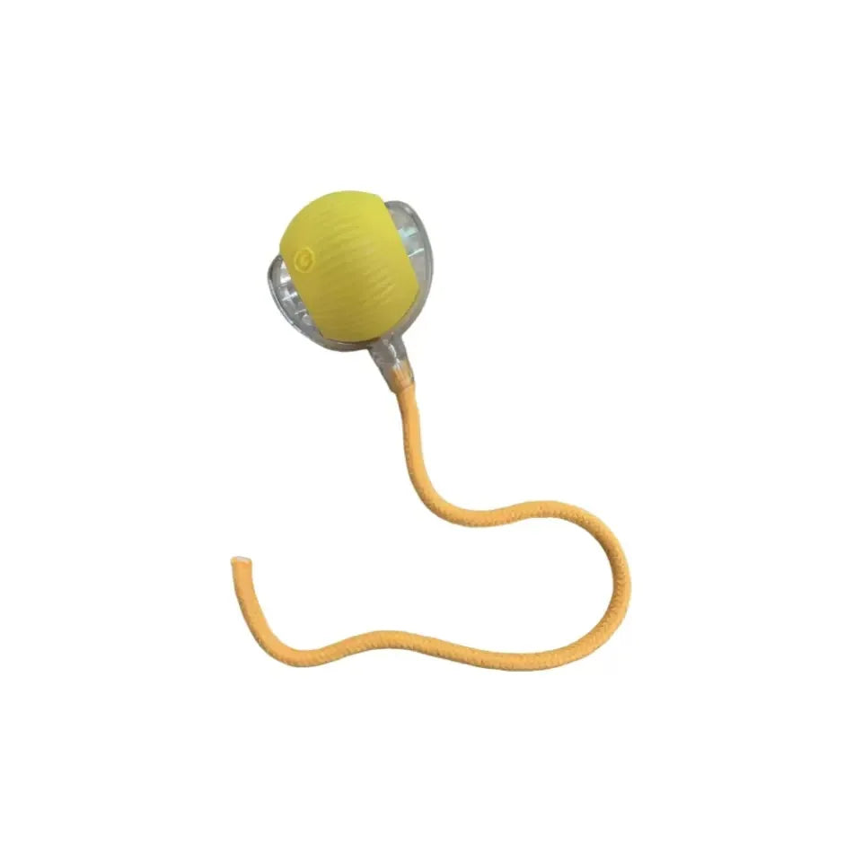 New Arrival  360Â°Teasing Interactive Automatic Robotic Cat Toy