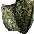 HERBAL Plants WILD Polygala Sibirica Raw Dried Polygala Sibirica Whole Plants for Sale