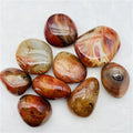 Wholesale Sardonyx Agate Palm Stone Healing Crystal Red Banded Agate Palm Stone