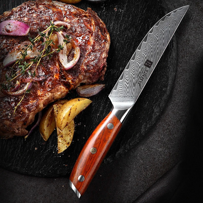 Professional 5 Inch Damascus Steel Kitchen Steak Knife With Rosewood Handle MegaBDM