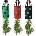 3PCS Eco-Friendly Durable Upside Down Planter Strawberry Wall Hanging Felt Garden Grow Pots with Handles for Home