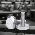 PromotionDin787 Din 261 Stainless Steel Ss304 Ss316 Forge Bolt Hammer Scaffold Clamp t Head Shoulder Bolt