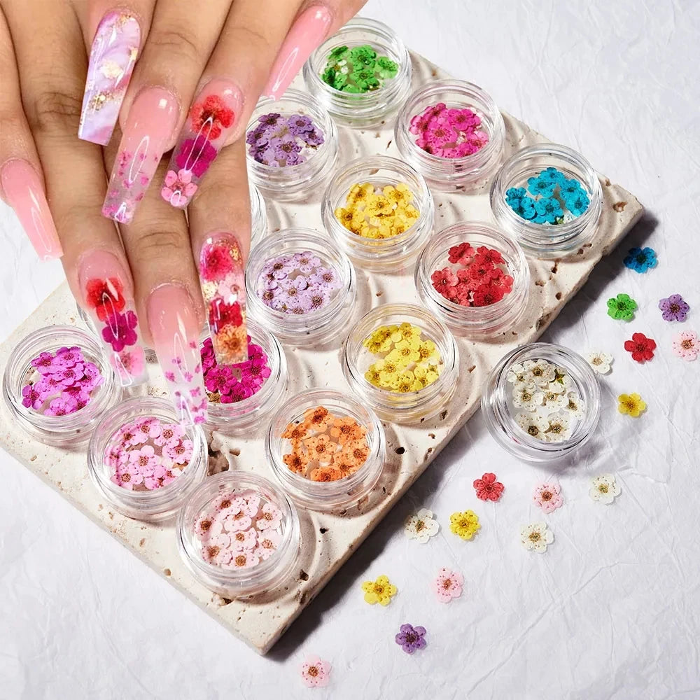 10PCS 3D Nail Dried Flowers Sticker Five Petal Flower 16 Colors Natural Real Dry Flower Nail Stickers for DIY Nails Decorations