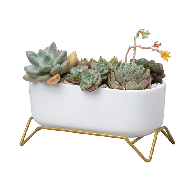 Dropshipping Small Succulent Planter 6.7Inches Oval Shaped White Ceramic Planter Pot With 4-legged Base Iron Glazed Support