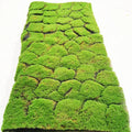 Microlandschaft Decor Customized Moss Wall Panel Art Artificial Moss Carpet Turf Artificial Mat