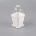 Square Transparent Plastic Pots for Home Gardening for Vegetable Seedlings and Tree Nursery Plants