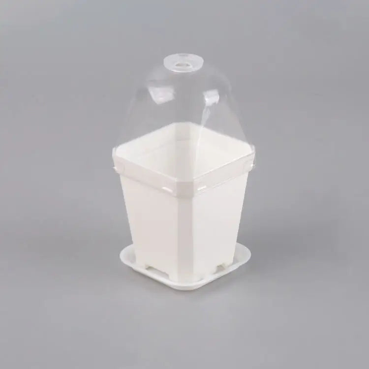 Square Transparent Plastic Pots for Home Gardening for Vegetable Seedlings and Tree Nursery Plants