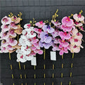 H05060 Artificial Orchid Flowers Faux Orchid Single Stem 9 Heads Real Touch Phalaenopsis Orchid Flower for Home Wedding Decor