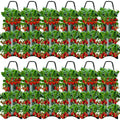 Customize Nurse Bag for Grow 3gallon Mushroom Grow Bag 6 Pcs PE Material Strawberry Grow Bags