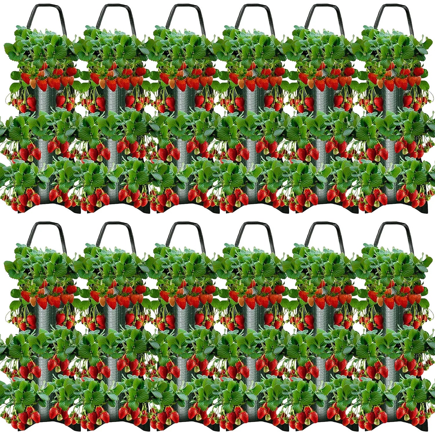 Customize Nurse Bag for Grow 3gallon Mushroom Grow Bag 6 Pcs PE Material Strawberry Grow Bags