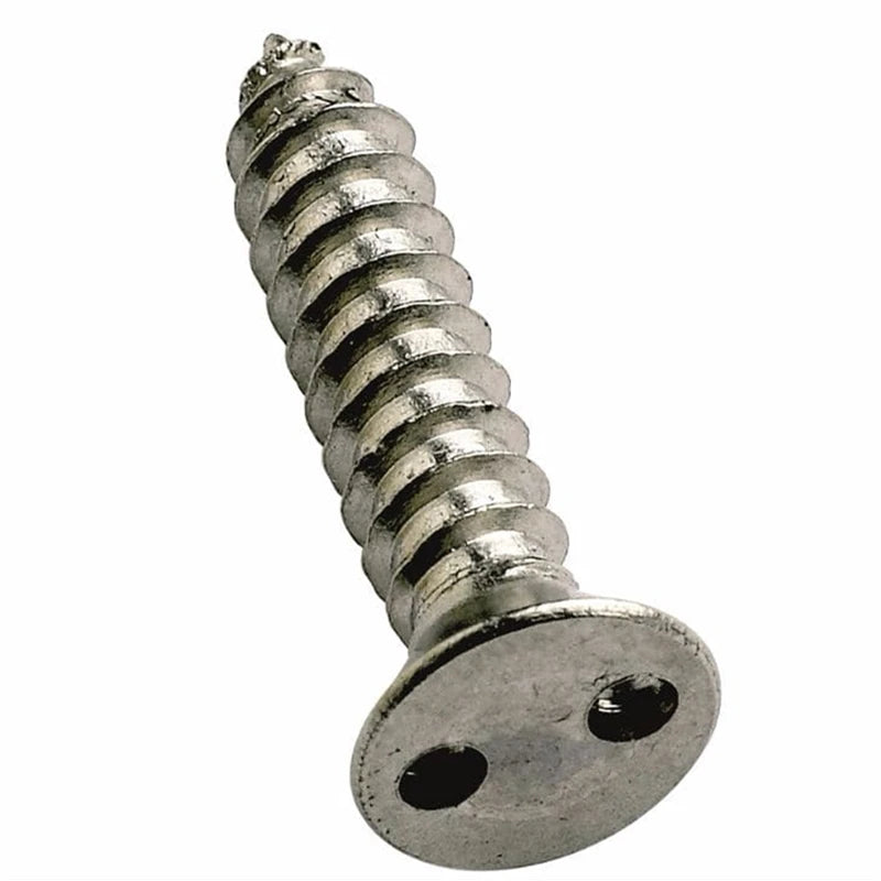 Stainless Steel 304 316 Pig Nose Spanner Snake Eye Security Screw M3-M12 Fine Thread Two Way Holes Zinc Plated