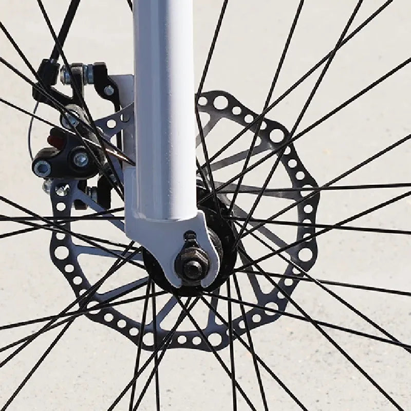Superbsail 203mm Brake Disc for Mountain Bike Bicycle Spare Parts and MTB Cycling Accessories Made in China