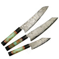 3 Pcs  67 Layers Damascus VG 10 Steel Core Kitchen Knives Set  with Carbon Fiber Fluorescent Resin Handle