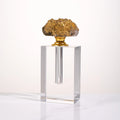 Empty Natural Gold Plated Quartz Stone Agate Crystal Glass Perfume Oil Oud Bottles With Box