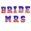 Fast Delivery USA Flag 8cm Chenille Letter Patches Iron on Letters Patches