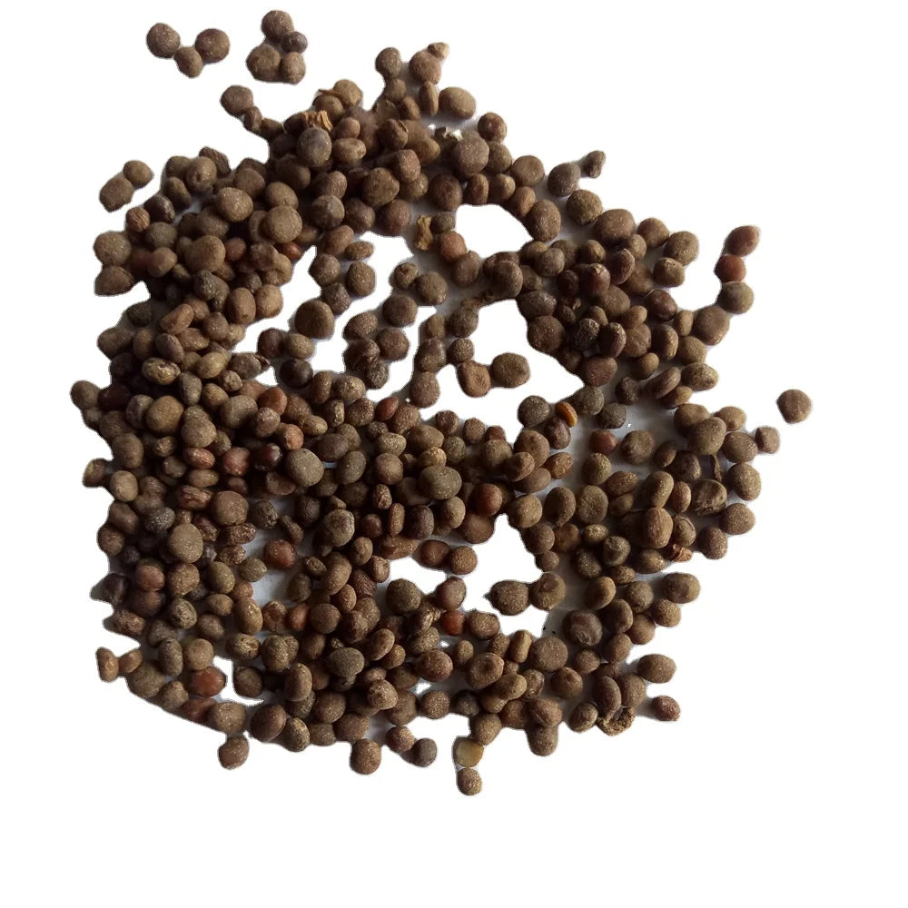 Ji Xing Zi Raw Natural Dried Garden Balsam Seeds (Rose Variety) Wild Fruits for Herb