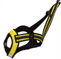 Adjustable Nylon Runwing Cat Harness Comfortable Fitting Outdoor Training Vest Breakaway Feature Solid Pattern Buckle Closure