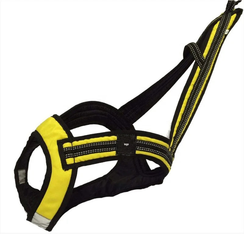 Adjustable Nylon Runwing Cat Harness Comfortable Fitting Outdoor Training Vest Breakaway Feature Solid Pattern Buckle Closure