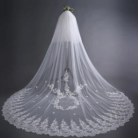 2023 New Romantic Lace Long Bridal Veil Exquisite Embroidery Trailing Bridal Headdress Aesthetic Temperament Wedding Veil