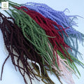 Whosale Artificial Multicolored Amaranthus Foam Greenery Hanging Foliage Branches for Wedding Flower Arrangement