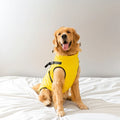 Autumn and Winter Velvet Waistcoat for Medium Large Dogs Comfortable Pet Clothes for Big Dogs Fashionable Outfit